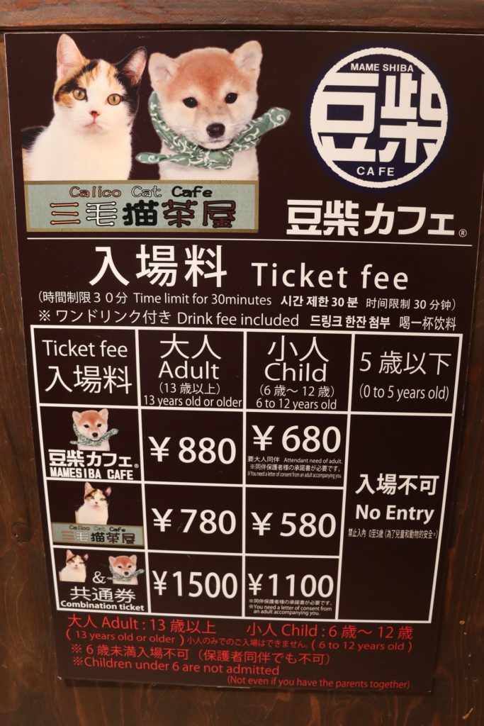 可以在道顿堀遇见能带来幸运的雄性三毛猫？！在「三毛猫茶屋」可以被自由气息满满的猫所治愈| Eatery Japan